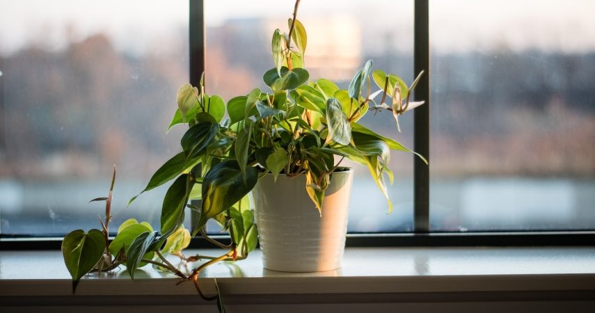 Пластиковый подоконник